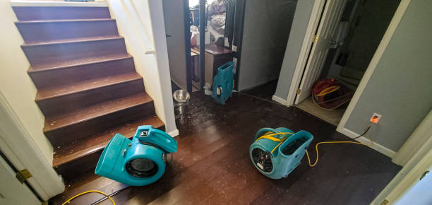 Best 24-hour water damage restoration  in Garner, IA