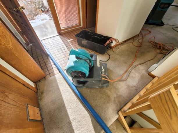 Best Flooded house restoration  in Garner, IA