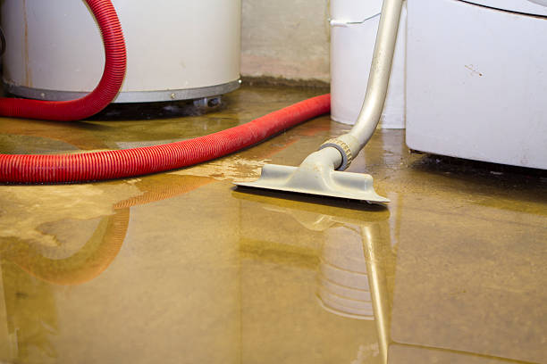 Best Professional water damage repair  in Garner, IA