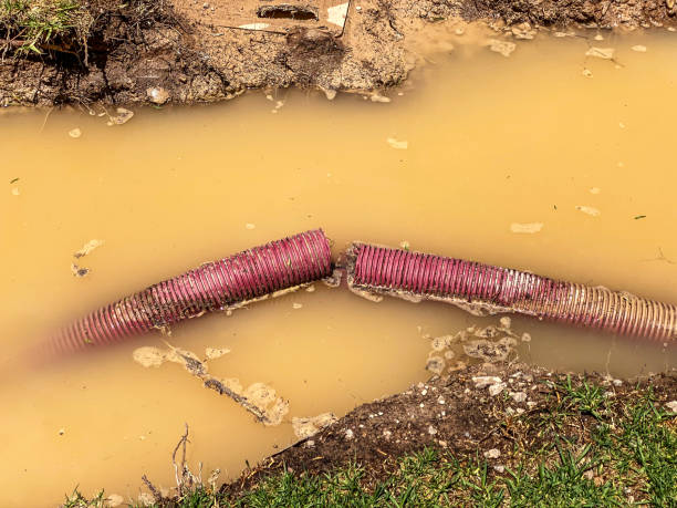 Best Water damage restoration near me  in Garner, IA