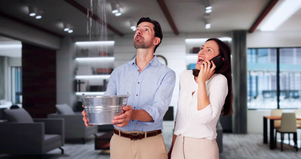 Best Water damage restoration near me  in Garner, IA