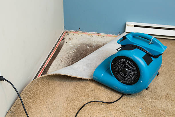 Best Sewage cleanup and water damage restoration  in Garner, IA